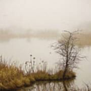 Wetland Wonders Of Winter Art Print
