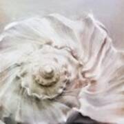 Whelk Shell Art Print