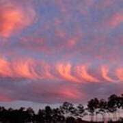 Whirlwind Salmon Clouds Art Print