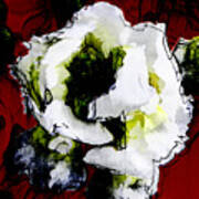 White Flower On Red Background Art Print