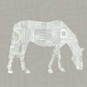 White Horse 2- Art By Linda Woods Art Print