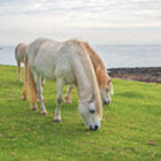 White Horses 2 Art Print