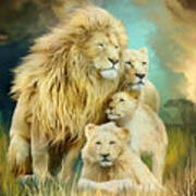White Lion Family - Unity Art Print