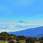 White-necked Raven Soaring Above Mount Kilimanjaro With Mount Meru Art Print