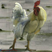 White Rooster Art Print