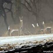 Whitetails In The Winter Mist Art Print