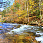 Whitetop Creek Autumn Art Print