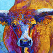 Widespread - Texas Longhorn Art Print