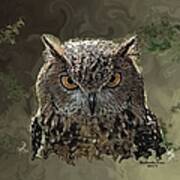 Wild Owl Art Print