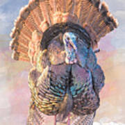 Wild Tom Turkey Art Print