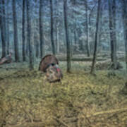 Wild Turkeys In Forest Version Two Art Print
