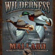 Wilderness Mallard Art Print