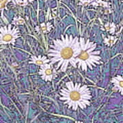 Wildflower Daisies In Field Of Purple And Teal Art Print