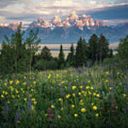 Wildflowers At Grand Teton National Park Art Print