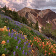 Wildflowers With Twin Peaks At Sunset Art Print