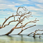 Windswept Branches On Sandy Hook Bay Art Print