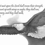 Wings As Eagles Art Print