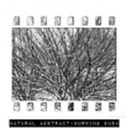 Winter Branches - Natural Abstract Art Print