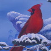 Winter Cardinal Art Print