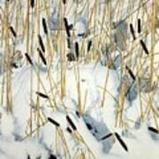 Winter Cattails Art Print