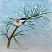 Winter Chickadee Art Print