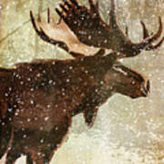 Winter Game Moose Art Print