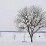 Winter Landscape In Barrie Art Print