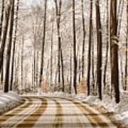 Winter Road Through The Forest Art Print