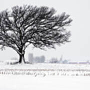 One Last Snowfall - Lone Oak In Snow And Corn Stubble Near Stoughton Wi Art Print