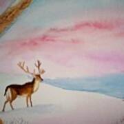 Winter Stillness Art Print