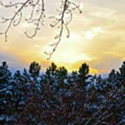 Winter Sunset On The Tree Farm #2 Art Print