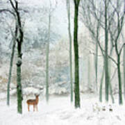 Winter Woodland Art Print