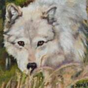 Wolf Among Foxtails Art Print