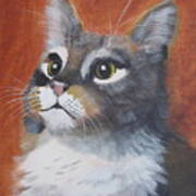 Wonder Cat Art Print