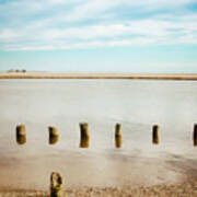 Wood Pilings In Shallow Waters Art Print