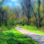 Woodland Trail Art Print