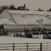 Working Cattle Barn Art Print