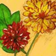 Yellow And Red Chrysanthemums Art Print