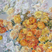 Yellow Chrysanthemum Art Print