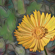 Yellow Coreopsis Art Print