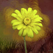 Yellow Daisy Art Print