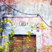 Yellow Flowers And Decayed Wall Art Print