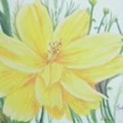 Yellow Garden Flower Art Print