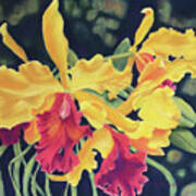 Yellow Orchids Art Print