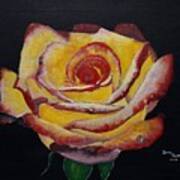 Yellow Rose Art Print