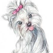 Yorkie Puppy Art Print