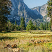 Yosemite Valley At Yosemite National Park Art Print