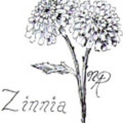 Zannie Zinnia Art Print