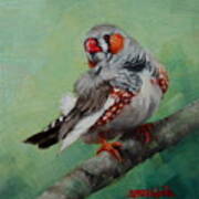 Zebra Finch Miniature Art Print