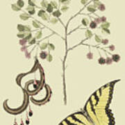 Acacia & Sulphur Butterfly #1 Art Print